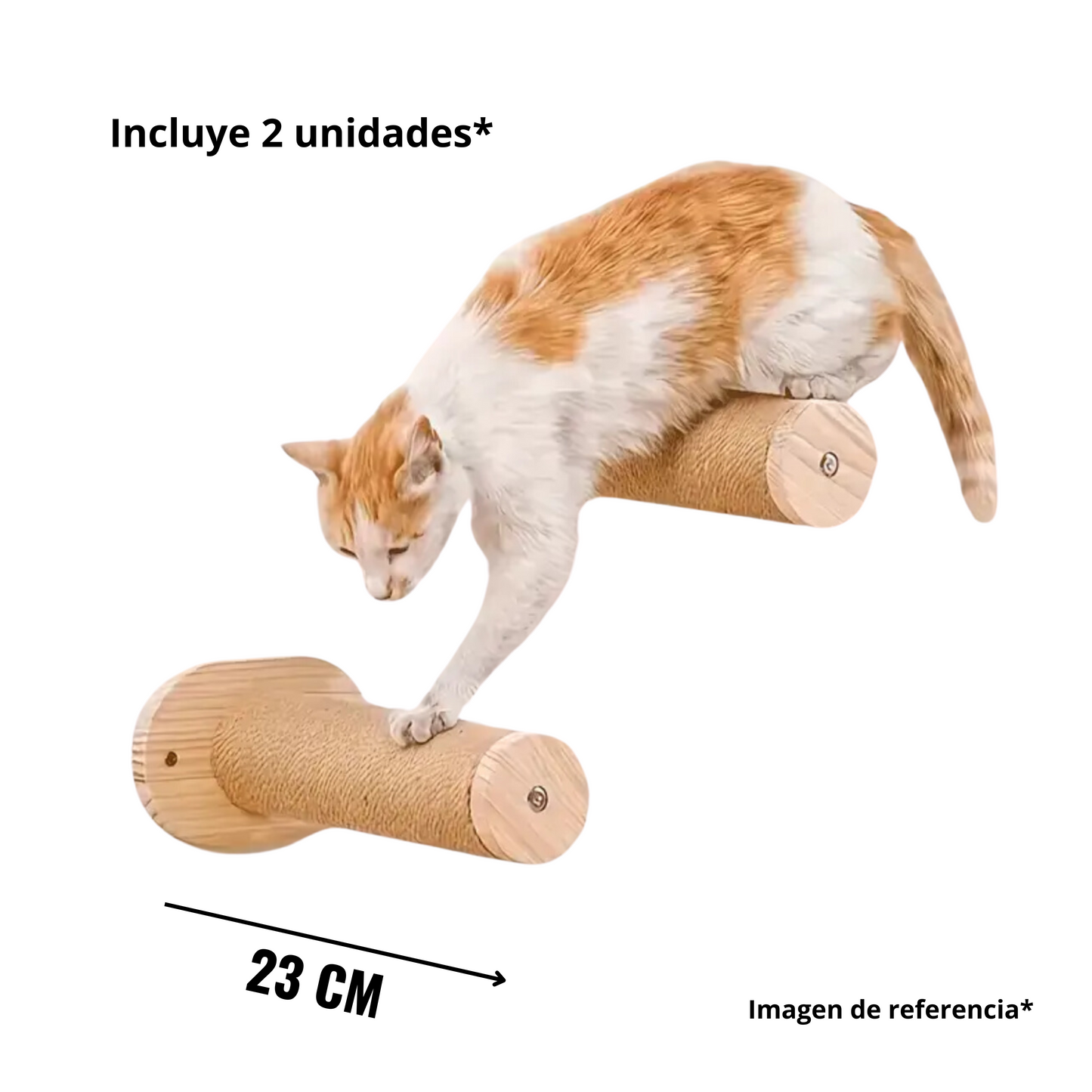 Arma tu Gimnasio Gatuno