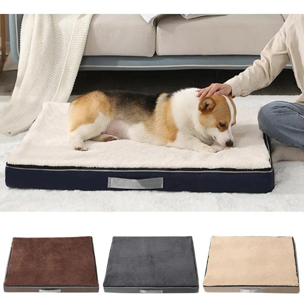 Cama Para Perro Ortopédica De Espuma Viscoelástica Lavable M
