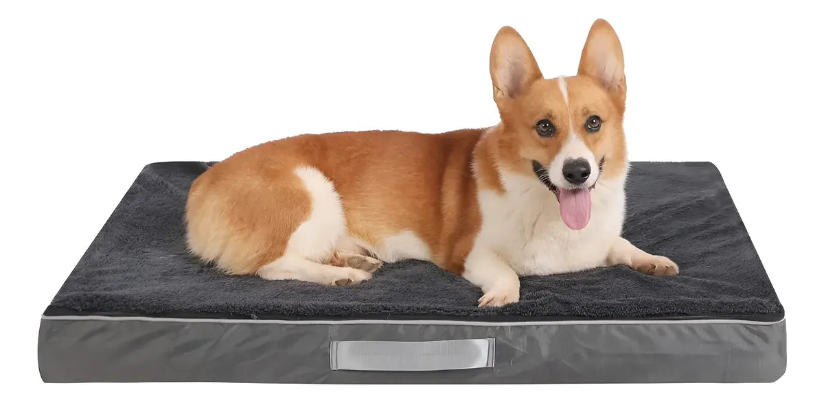 Cama Para Perro Ortopédica De Espuma Viscoelástica Lavable M