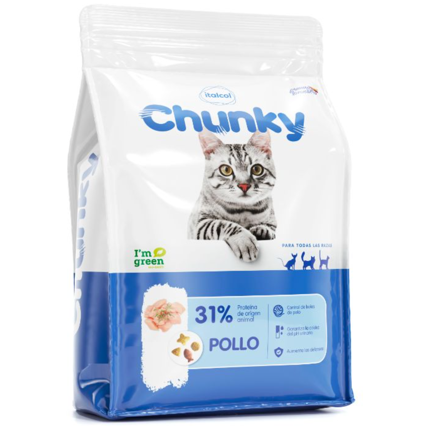 Chunky - Pollo Gatos