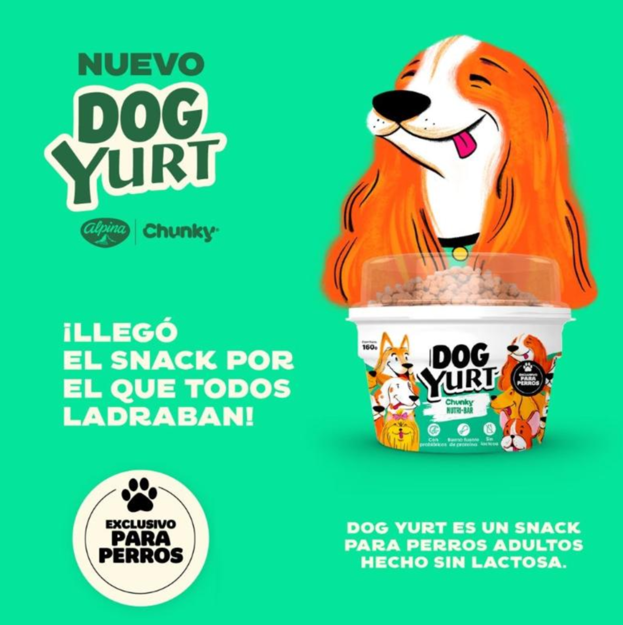 Dog Yurt - Chunky Nutribar Snack para Perros